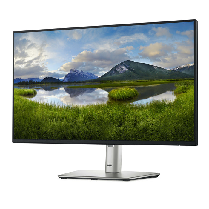 DELL Pro Plus P2425H, 60.5 cm (23.8"), 1920 x 1080 pixels, Full HD, LCD, 8 ms, Black