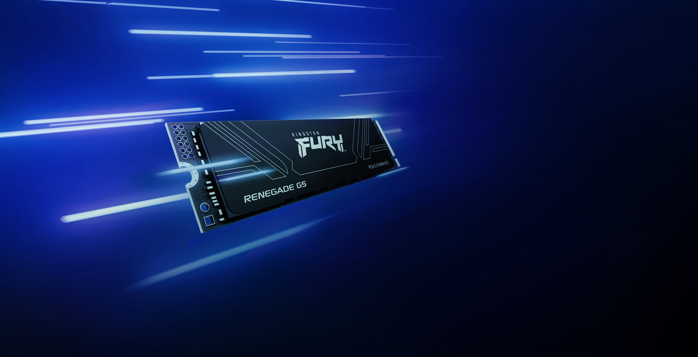 Kingston Technology 2T FURY RENEGADE G5 M.2 2280 NVMe SSD, 2 TB, M.2, 14700 MB/s