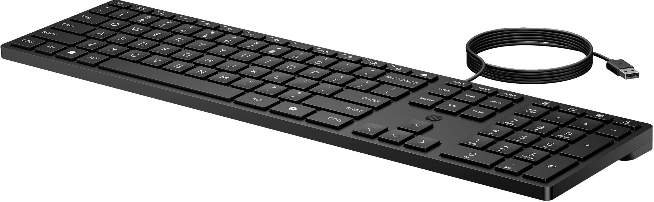 HP Wired Desktop 320K Keyboard, Full-size (100%), Wired, USB, Black