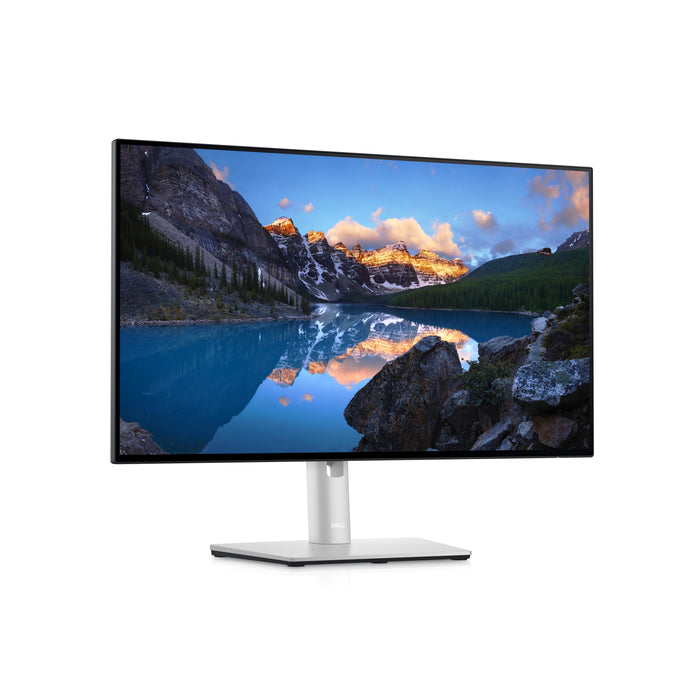 DELL UltraSharp 24 Monitor – U2422H, 60.5 cm (23.8"), 1920 x 1080 pixels, Full HD, LCD, 8 ms, Silver