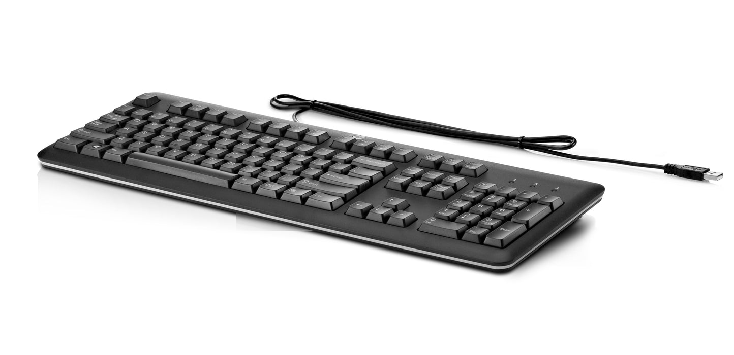 HP USB Keyboard for PC, Full-size (100%), Wired, USB, Black