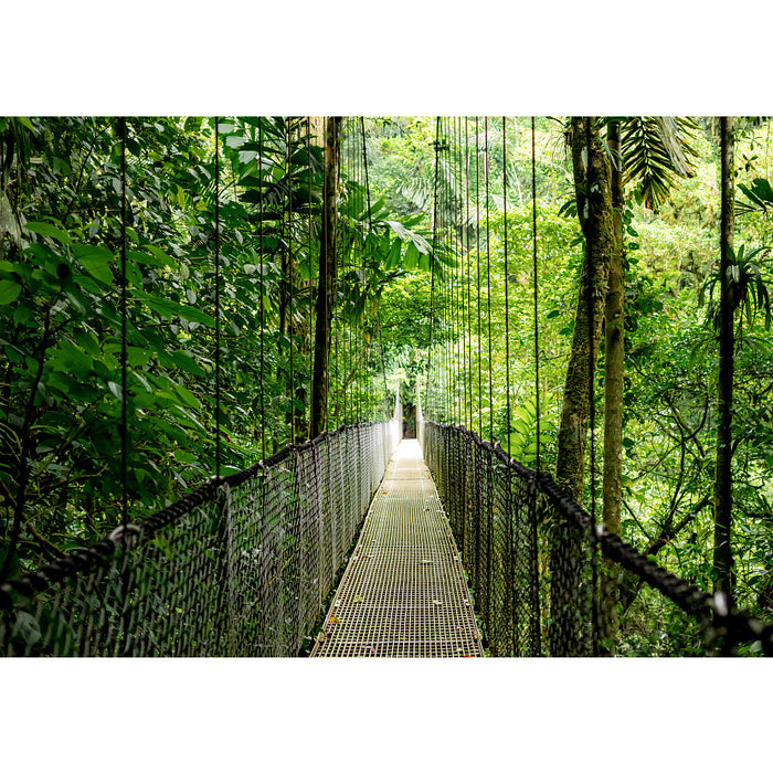 HP EliteBook 6 G1ah, AMD Ryzen™ 5, 3.2 GHz, 35.6 cm (14"), 1920 x 1200 pixels, 16 GB, 512 GB