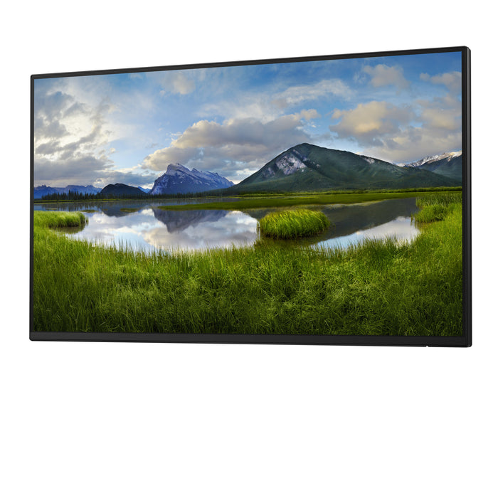 DELL Pro Plus P2425H_WOST, 61 cm (24"), 1920 x 1080 pixels, Full HD, LCD, 8 ms, Black