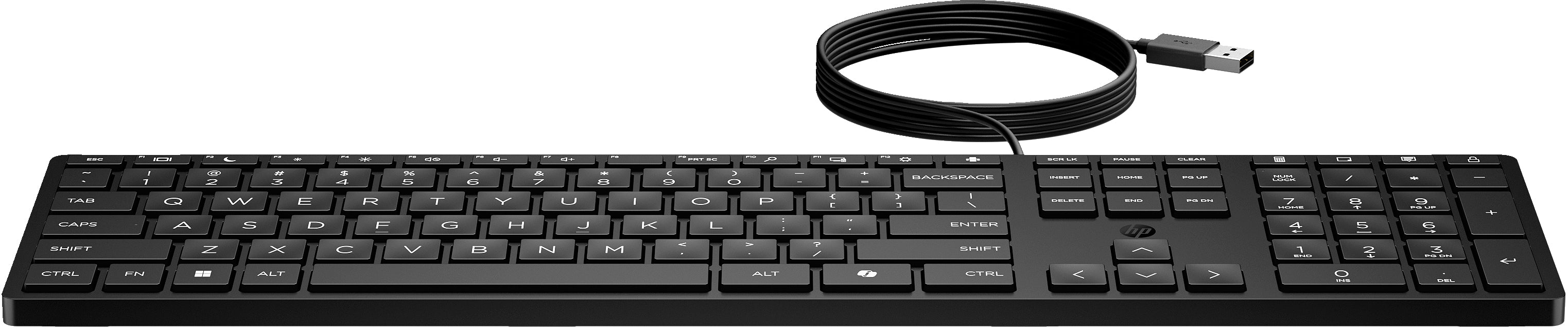 HP Wired Desktop 320K Keyboard, Full-size (100%), Wired, USB, Black