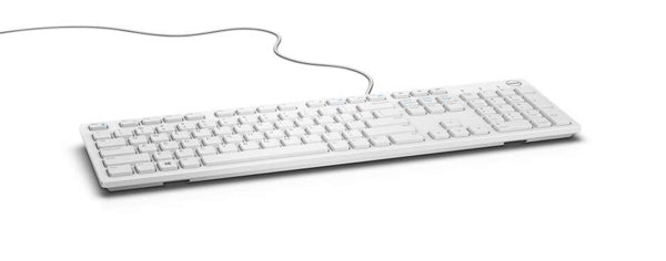 DELL KB216, Full-size (100%), Wired, USB, QWERTY, White