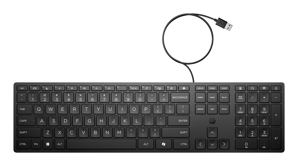 HP Wired Desktop 320K Keyboard, Full-size (100%), Wired, USB, Black