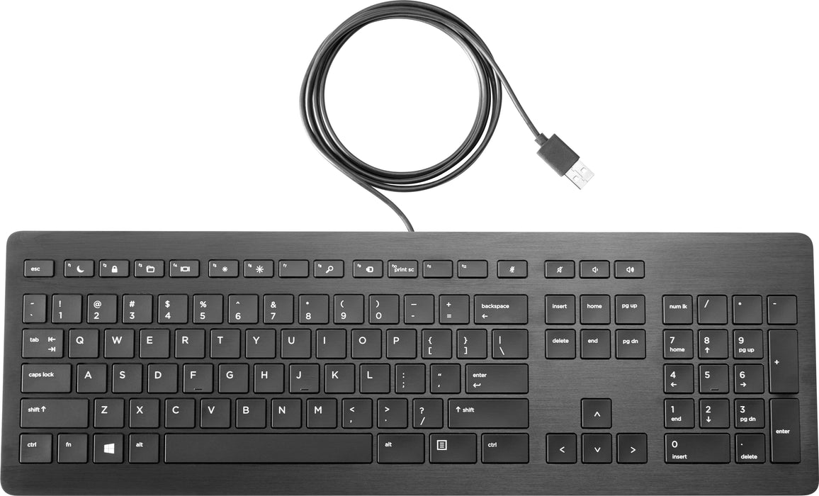 HP USB Premium Keyboard, Full-size (100%), Wired, USB, Membrane, Black