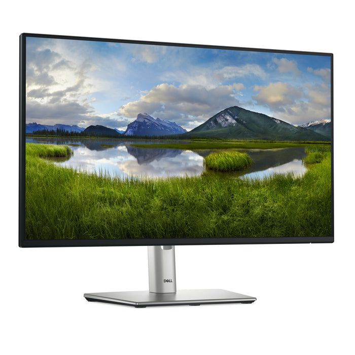 DELL Pro Plus P2425H, 60.5 cm (23.8"), 1920 x 1080 pixels, Full HD, LCD, 8 ms, Black