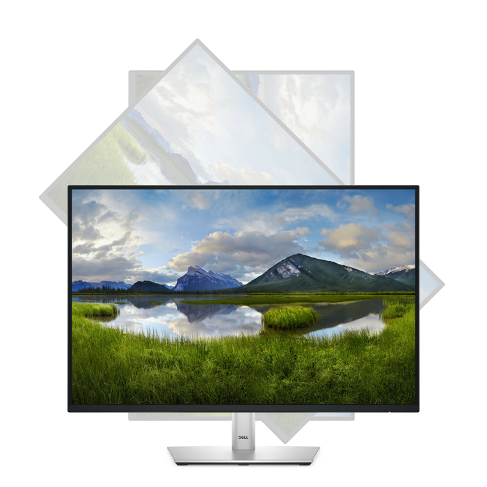 DELL Pro Plus P2425, 61.1 cm (24.1"), 1920 x 1200 pixels, WUXGA, LCD, 8 ms, Black