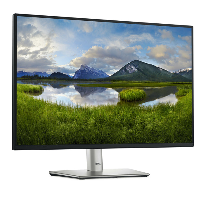 DELL Pro Plus P2425E, 61.1 cm (24.1"), 1920 x 1200 pixels, WUXGA, LCD, 8 ms, Black