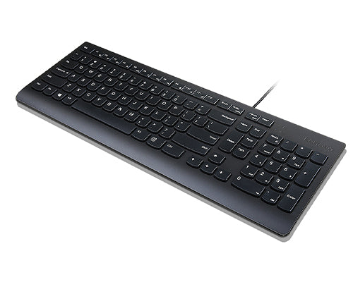 Lenovo Essential, Full-size (100%), Wired, USB, Membrane, QWERTY, Black