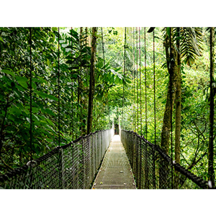 HP EliteBook 6 G1ah, AMD Ryzen™ 5, 3.2 GHz, 40.6 cm (16"), 1920 x 1200 pixels, 16 GB, 512 GB