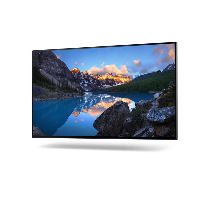 DELL UltraSharp 24 Monitor – U2422H, 60.5 cm (23.8"), 1920 x 1080 pixels, Full HD, LCD, 8 ms, Silver