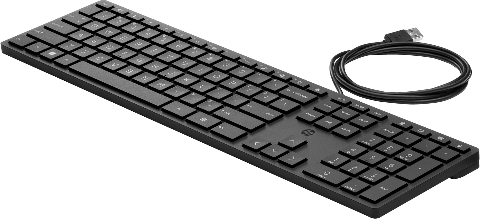 HP Wired Desktop 320K Keyboard, Full-size (100%), Wired, USB, Black