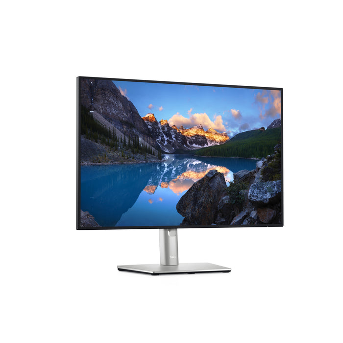DELL UltraSharp U2421E, 61.2 cm (24.1"), 1920 x 1200 pixels, WUXGA, LCD, 8 ms, Silver