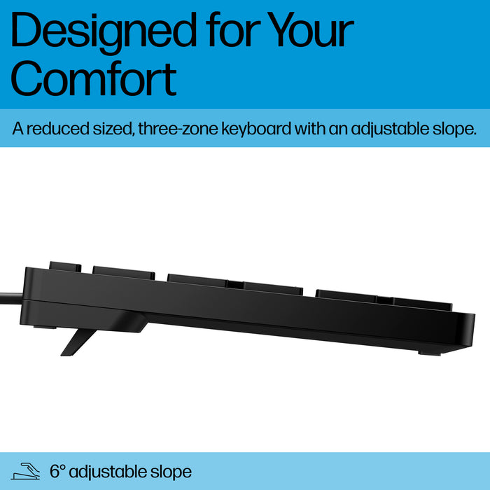 HP Wired Desktop 320K Keyboard, Full-size (100%), Wired, USB, Black