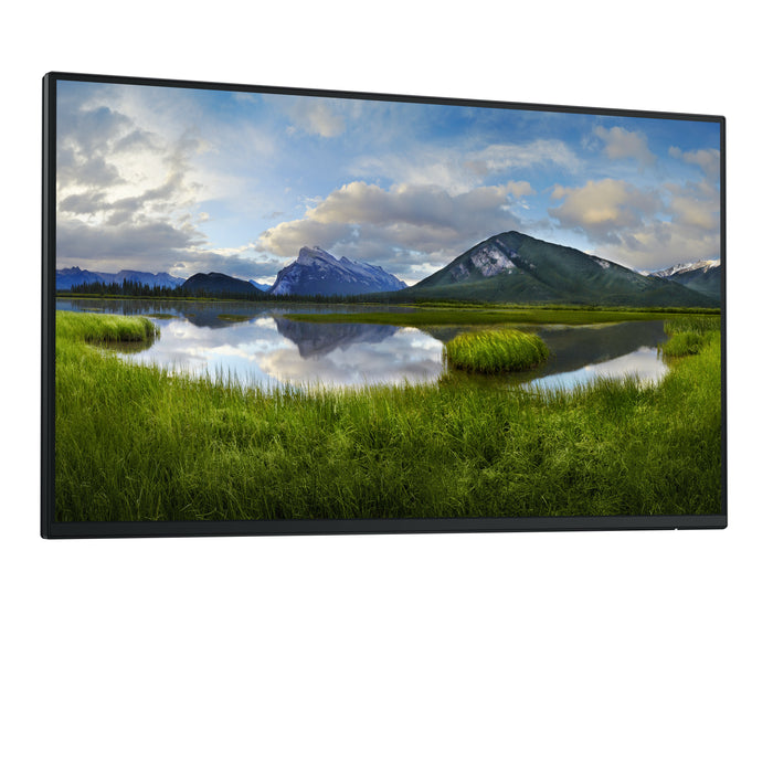 DELL Pro Plus P2425H_WOST, 61 cm (24"), 1920 x 1080 pixels, Full HD, LCD, 8 ms, Black