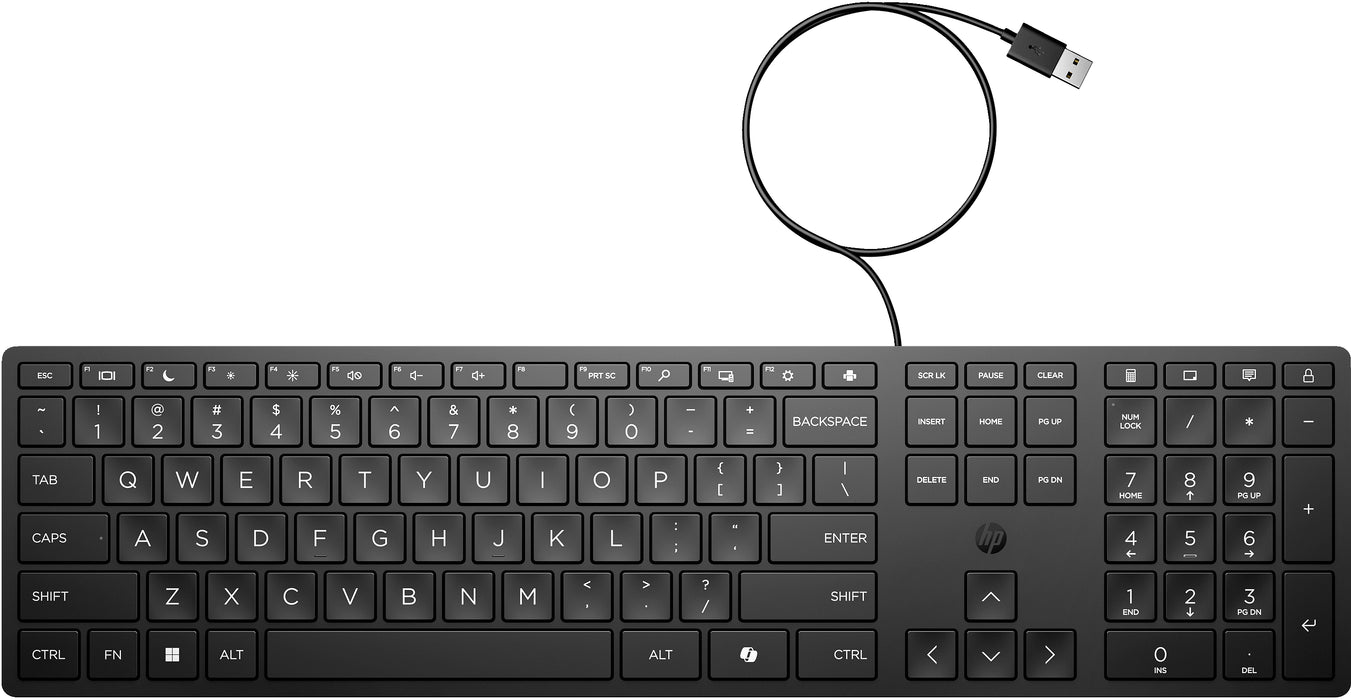 HP Wired Desktop 320K Keyboard, Full-size (100%), Wired, USB, Black