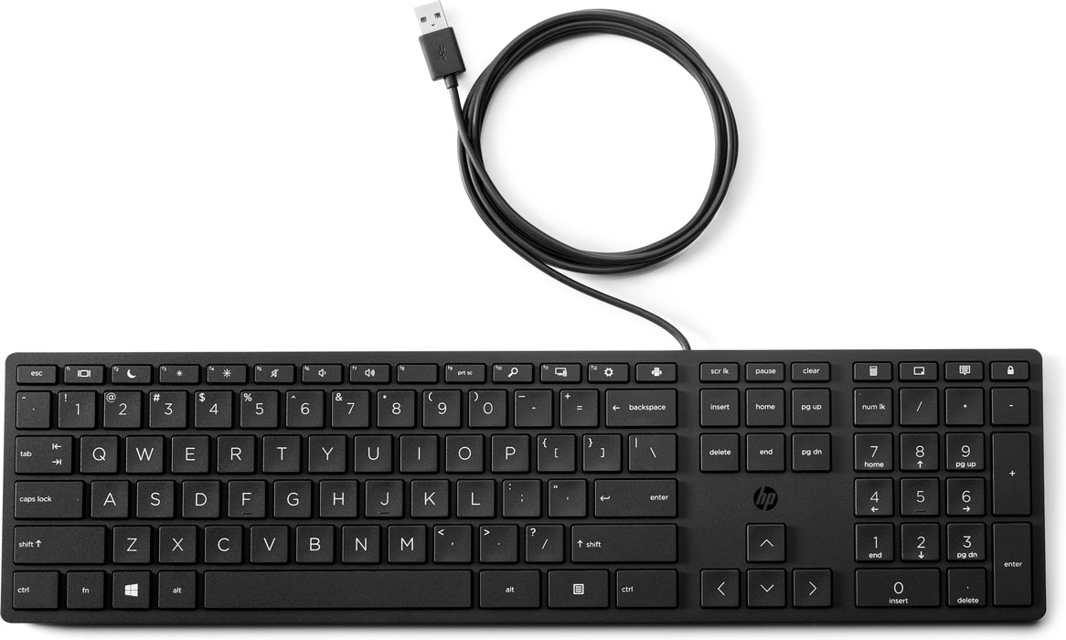 HP Wired Desktop 320K Keyboard, Full-size (100%), Wired, USB, Black