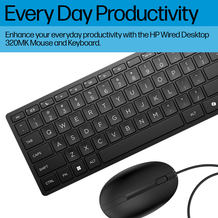 HP Wired Desktop 320MK Mouse and Keyboard, Full-size (100%), Wired, USB, Black, Mouse included