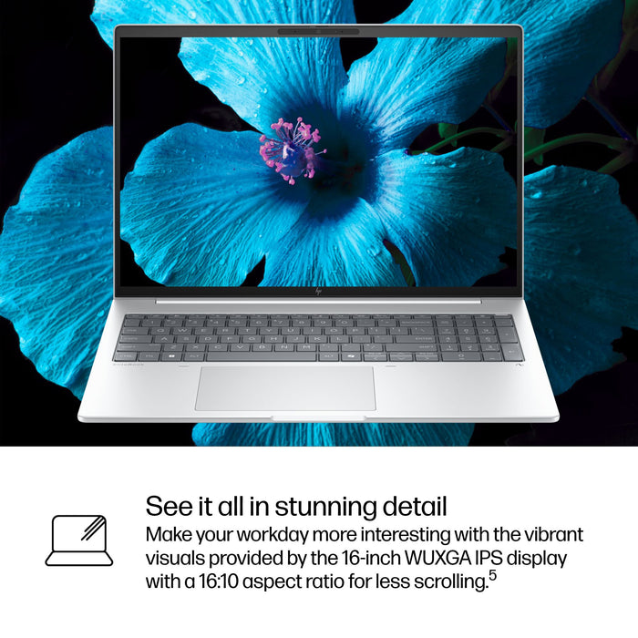 HP EliteBook 8 G1i 16, Intel Core Ultra 5, 40.6 cm (16"), 1920 x 1200 pixels, 16 GB, 512 GB, Windows 11 Pro
