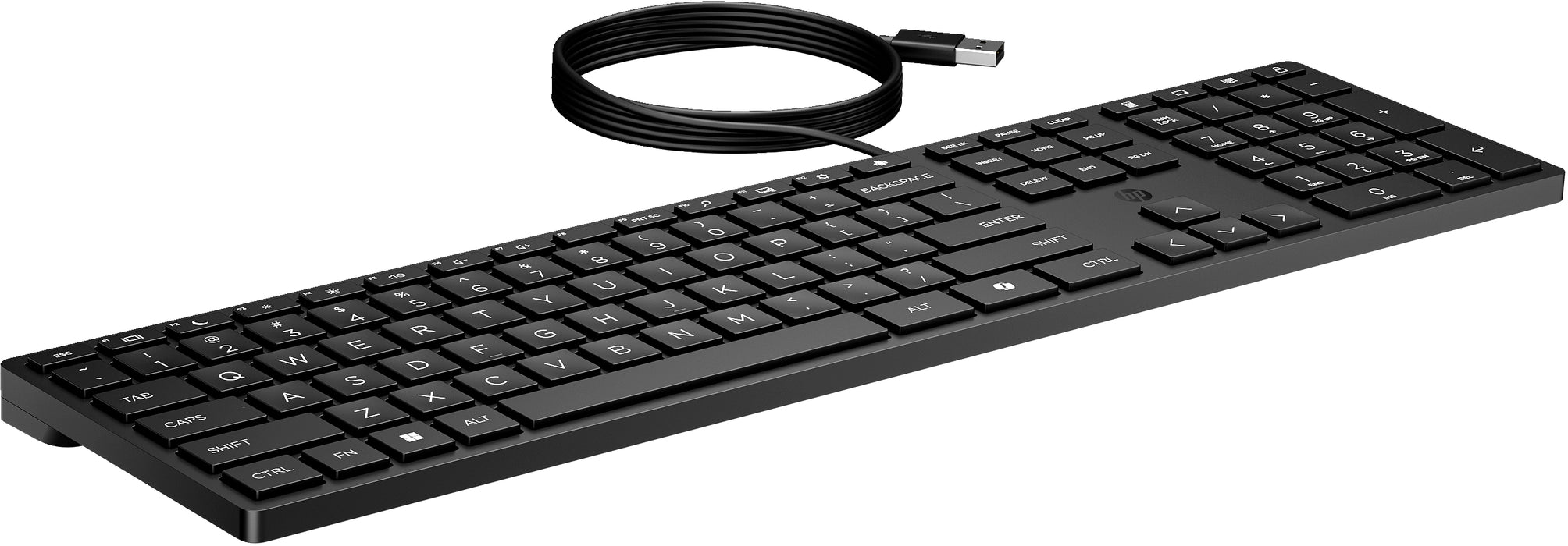 HP Wired Desktop 320K Keyboard, Full-size (100%), Wired, USB, Black