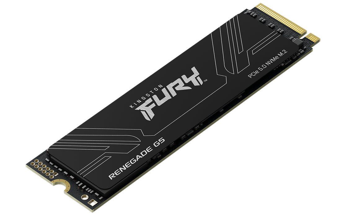 Kingston Technology 2T FURY RENEGADE G5 M.2 2280 NVMe SSD, 2 TB, M.2, 14700 MB/s