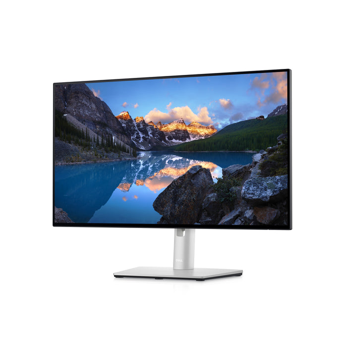 DELL UltraSharp 24 Monitor – U2422H, 60.5 cm (23.8"), 1920 x 1080 pixels, Full HD, LCD, 8 ms, Silver
