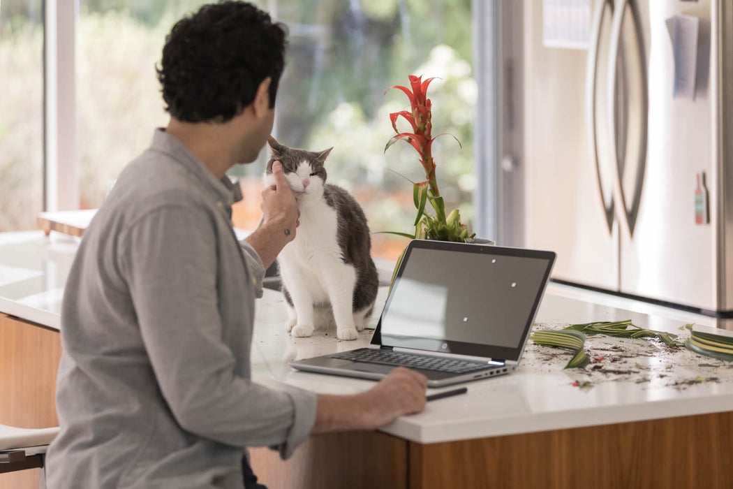 HP Pavilion x360 - 14-ba104na, Intel® Core™ i5, 1.6 GHz, 35.6 cm (14"), 1920 x 1080 pixels, 8 GB, 256 GB