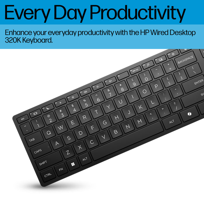 HP Wired Desktop 320K Keyboard, Full-size (100%), Wired, USB, Black