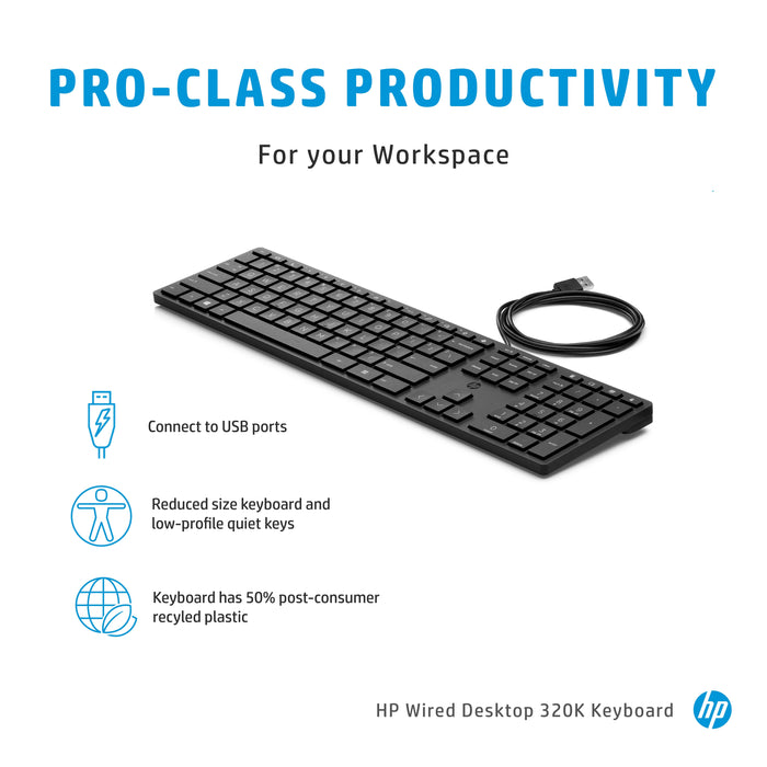 HP Wired Desktop 320K Keyboard, Full-size (100%), Wired, USB, Black